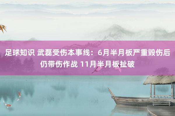 足球知识 武磊受伤本事线：6月半月板严重毁伤后仍带伤作战 11月半月板扯破