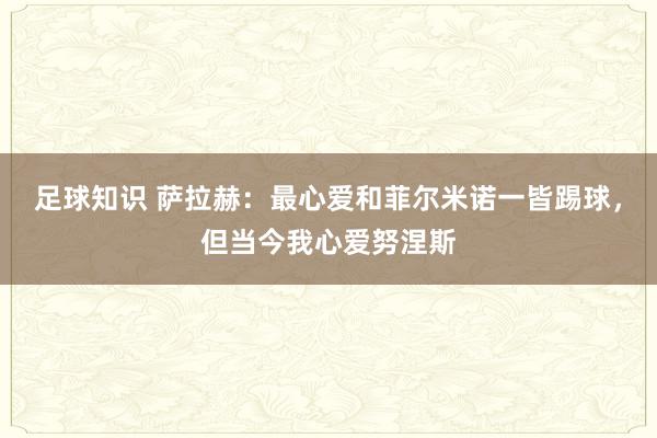 足球知识 萨拉赫：最心爱和菲尔米诺一皆踢球，但当今我心爱努涅斯