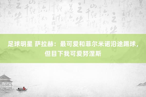 足球明星 萨拉赫：最可爱和菲尔米诺沿途踢球，但目下我可爱努涅斯