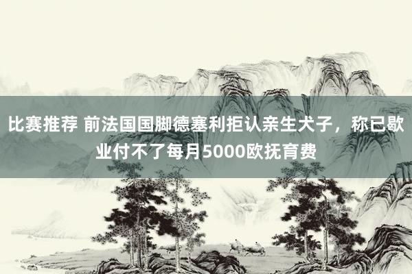 比赛推荐 前法国国脚德塞利拒认亲生犬子，称已歇业付不了每月5000欧抚育费