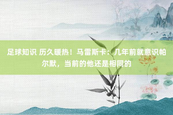 足球知识 历久暖热！马雷斯卡：几年前就意识帕尔默，当前的他还是相同的