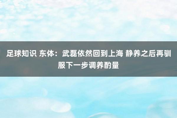 足球知识 东体：武磊依然回到上海 静养之后再驯服下一步调养酌量