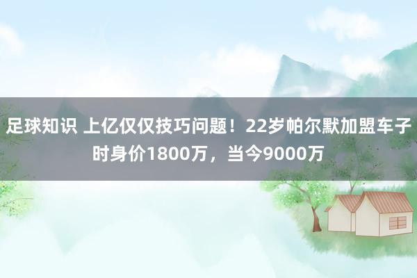 足球知识 上亿仅仅技巧问题！22岁帕尔默加盟车子时身价1800万，当今9000万