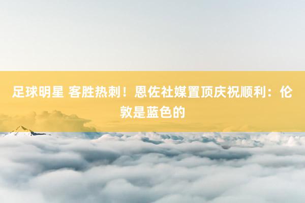 足球明星 客胜热刺！恩佐社媒置顶庆祝顺利：伦敦是蓝色的