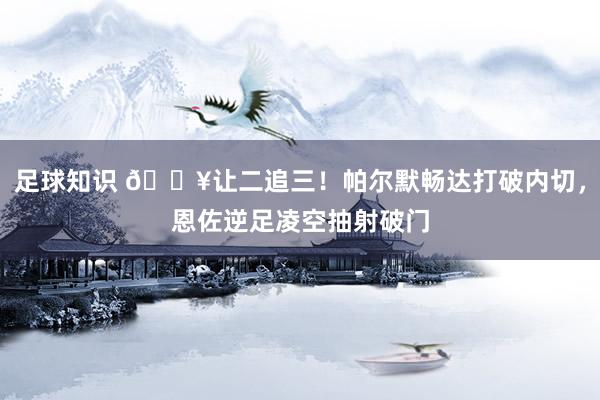 足球知识 💥让二追三！帕尔默畅达打破内切，恩佐逆足凌空抽射破门