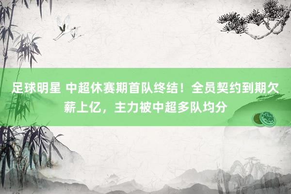 足球明星 中超休赛期首队终结！全员契约到期欠薪上亿，主力被中超多队均分